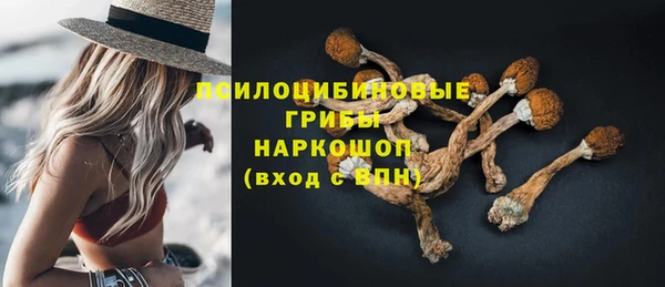 шишки Липки