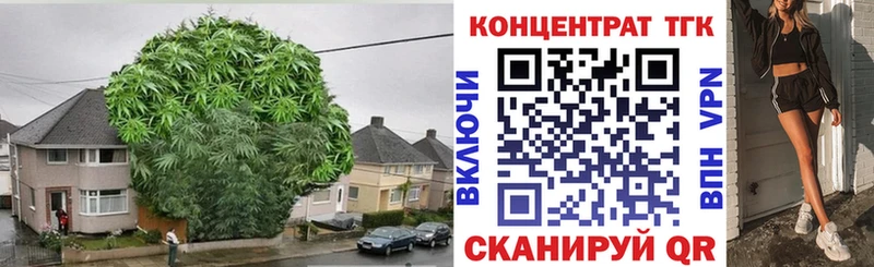 ТГК гашишное масло  Купить где  Новая Ладога 